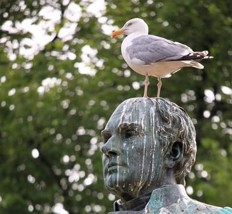 You are currently viewing სიტყვა გაფრენილი ჩიტივითაა