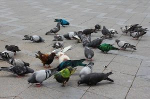 Read more about the article რაღაც..