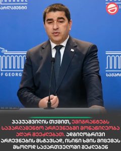 Read more about the article ინტერნეტარჩევნები