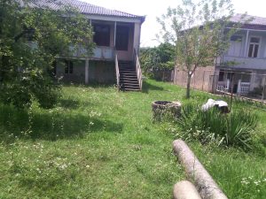 Read more about the article ერთი შეთავაზება