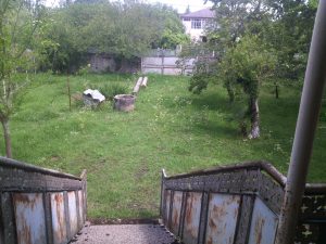 Read more about the article კირილე, გახედე სტუმარს!