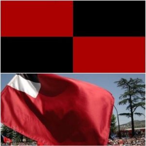 Read more about the article ეროვნული დროშა უნდა დაბრუნდეს!