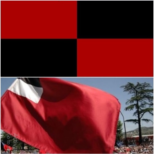 Read more about the article ეროვნული დროშა უნდა დაბრუნდეს!